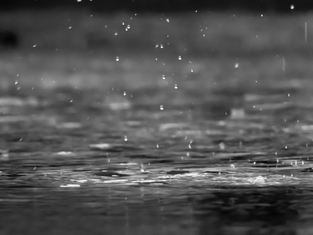 旅行の雨対策・傘